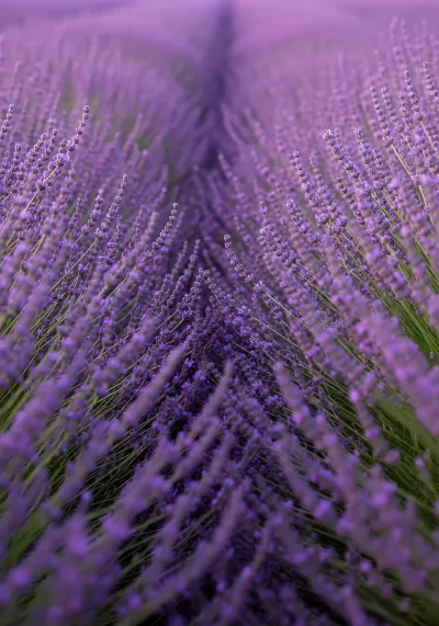 Imagen PNG para descargar